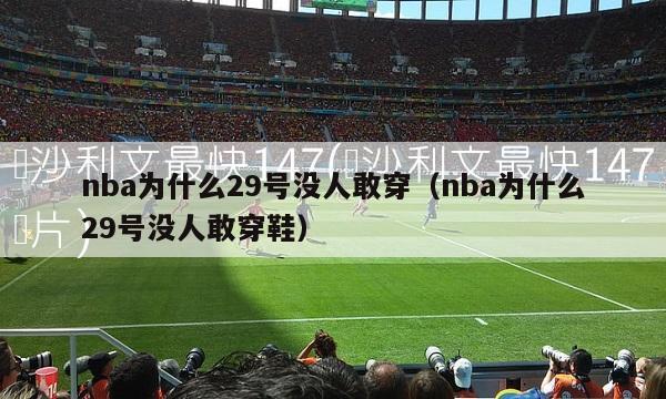 nba为什么29号没人敢穿（nba为什么29号没人敢穿鞋）