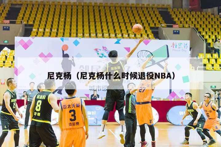 尼克杨（尼克杨什么时候退役NBA）