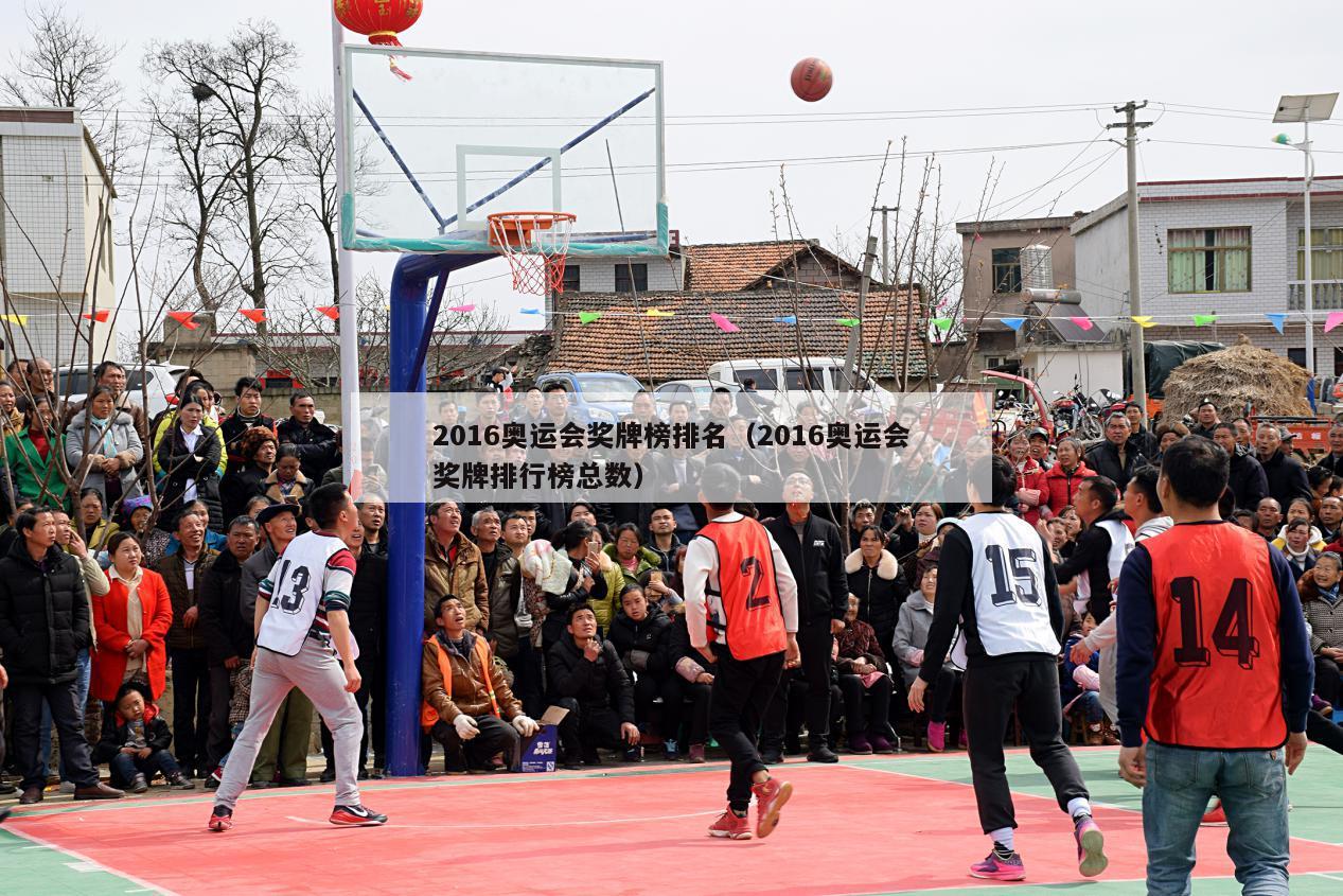 2016奥运会奖牌榜排名（2016奥运会奖牌排行榜总数）