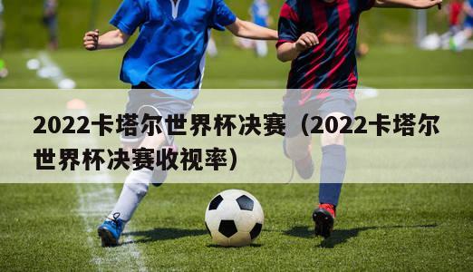 2022卡塔尔世界杯决赛（2022卡塔尔世界杯决赛收视率）