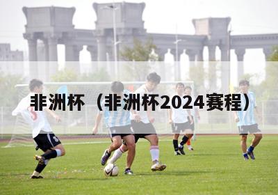 非洲杯（非洲杯2024赛程）