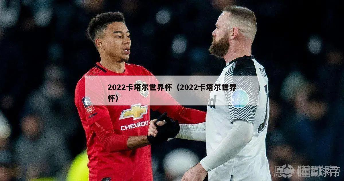 2022卡塔尔世界杯（2022卡塔尔世界杯）