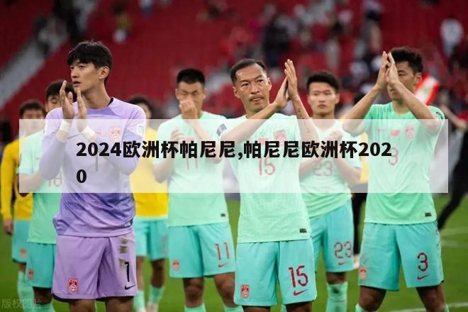 2024欧洲杯帕尼尼,帕尼尼欧洲杯2020