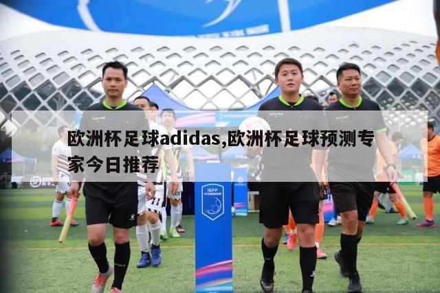 欧洲杯足球adidas,欧洲杯足球预测专家今日推荐