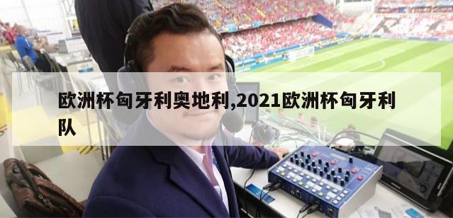 欧洲杯匈牙利奥地利,2021欧洲杯匈牙利队